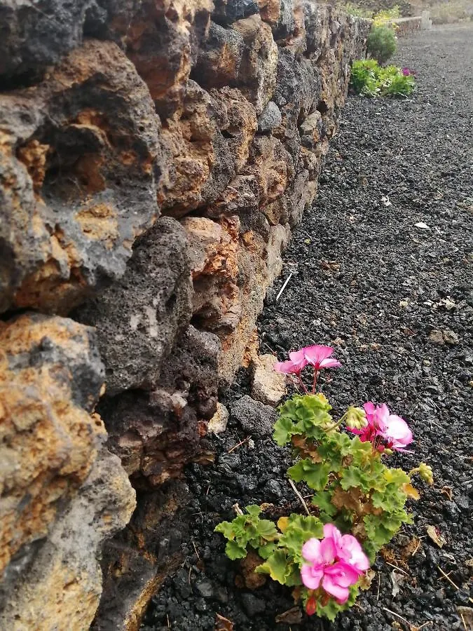 Las Vinas Villa Echedo